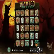 Wanted Dead or Wild gioca